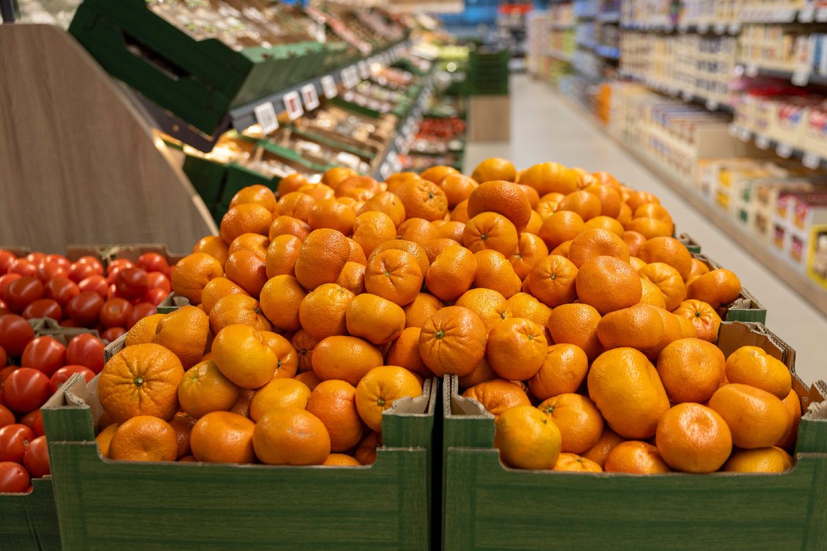 Фото: Shutterstock