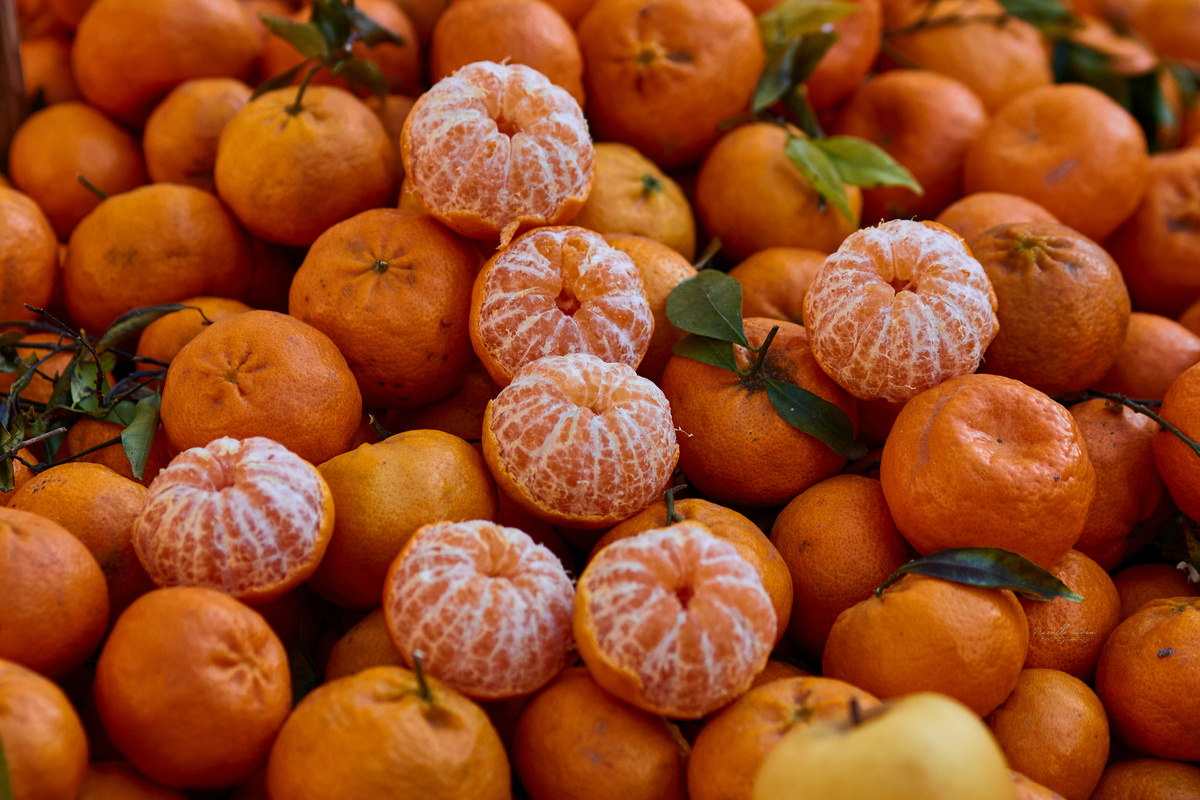 Фото: Shutterstock