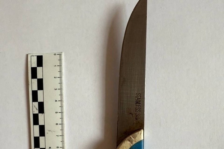 Жительница Гусь-Хрустального 69 раз ударила подругу ножом