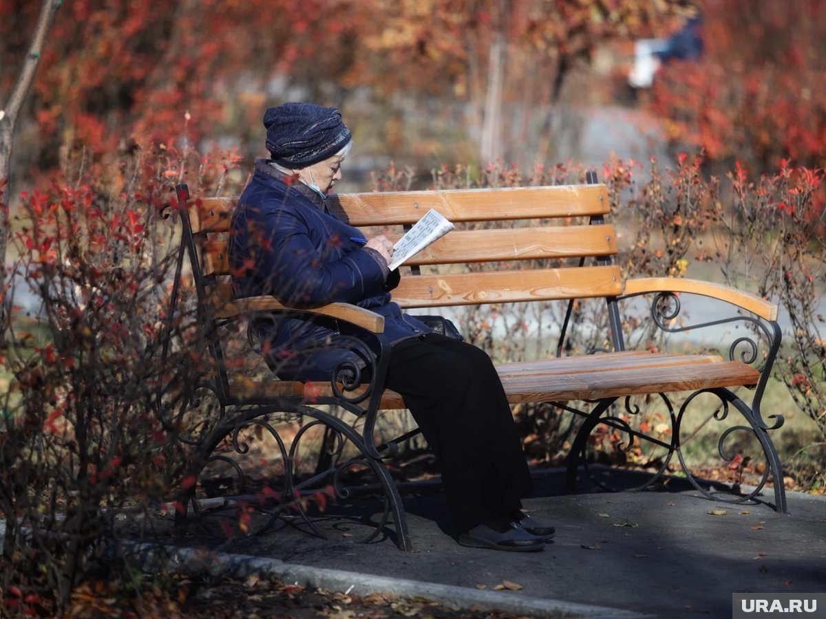     В 2026 году пенсии в России повысят для всех категорий получателей