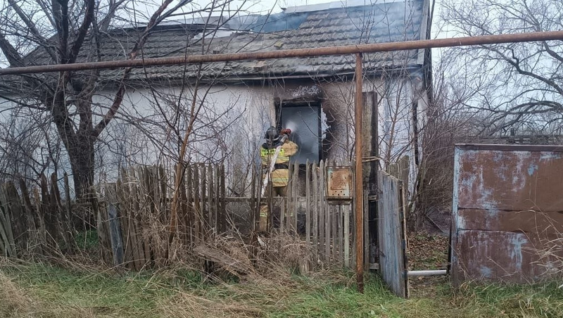      Фото: Пресс-служба ПАСС Ставропольского края