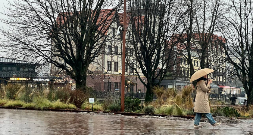   Первый городской канал Калининград