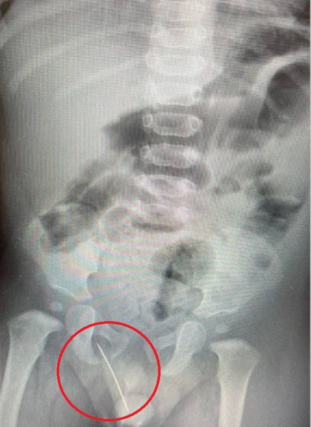 Фото: пресс-служба Детского центра им. Рошаля