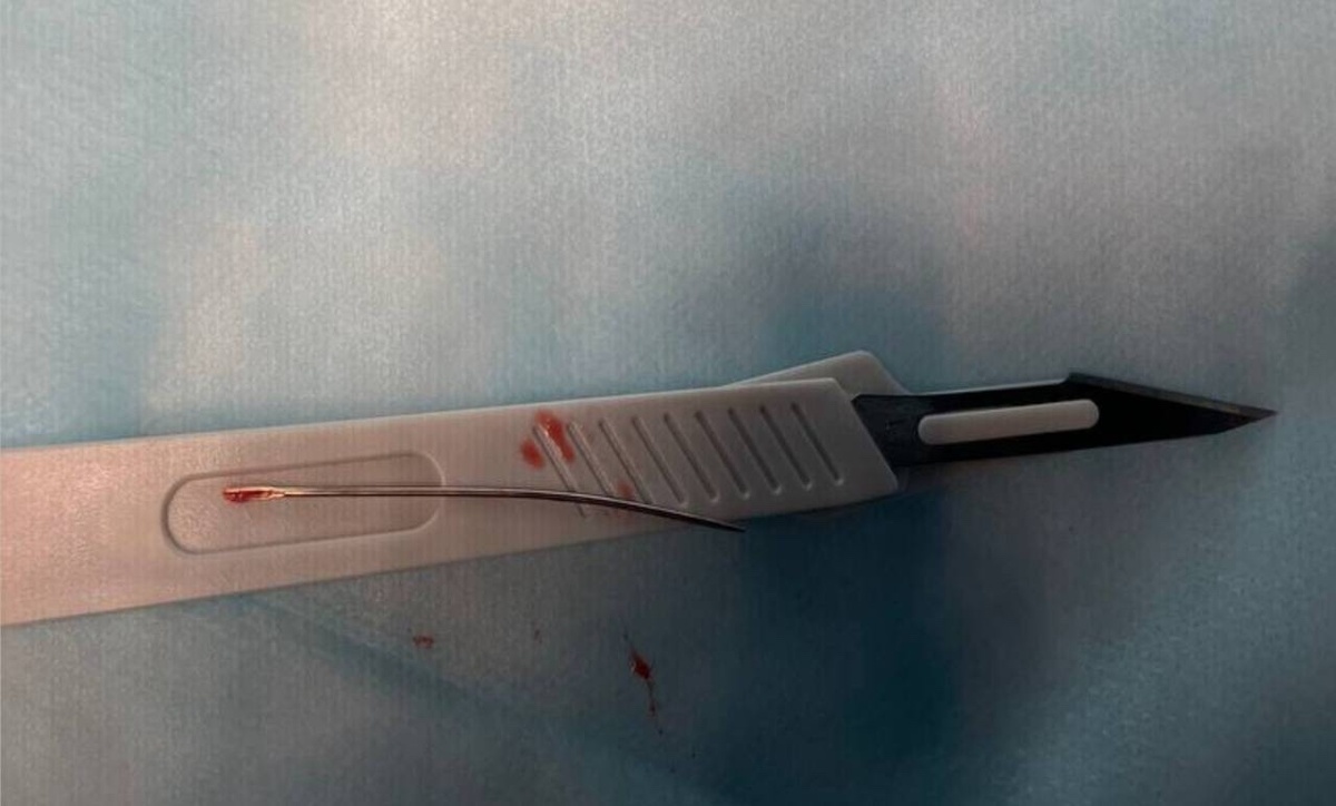 Фото: пресс-служба Детского центра им. Рошаля