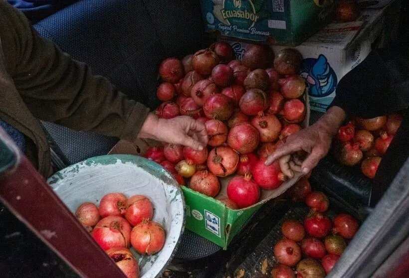  В гранате содержатся витамины C, Р, В6 и В12. Также во фрукте есть йод, калий, кальций, железо и кремний    © Sputnik/РИА Новости. Арам Нерсесян