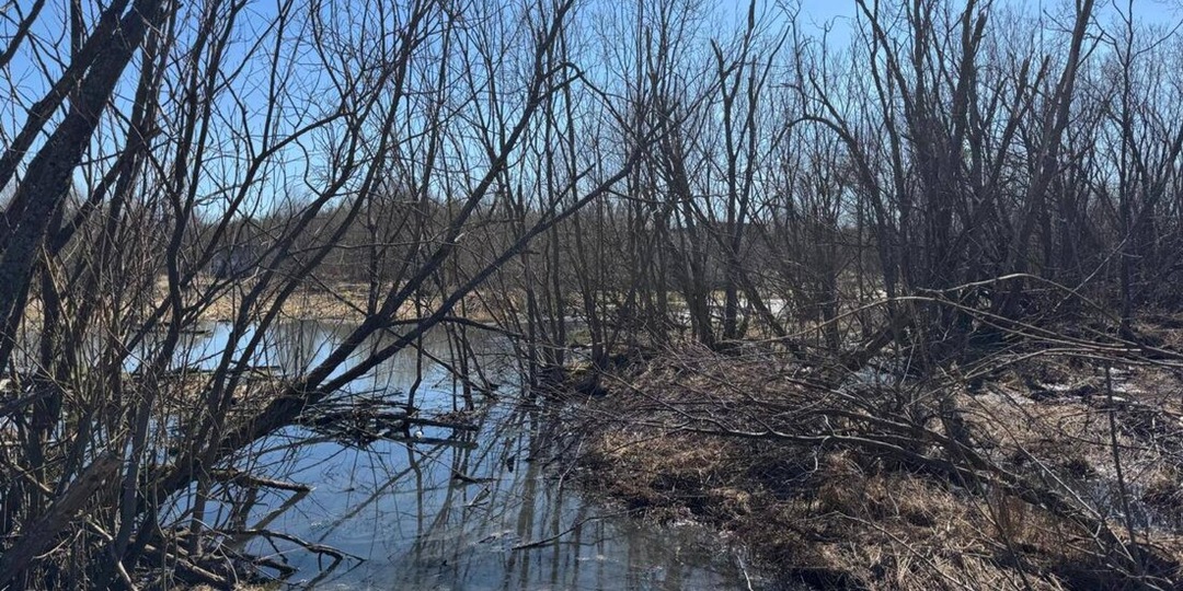 Суд принял решение по делу о канализации в Талагах