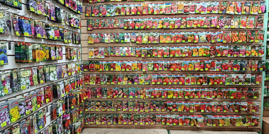 Сходила в магазин за семенами. Показываю что купила