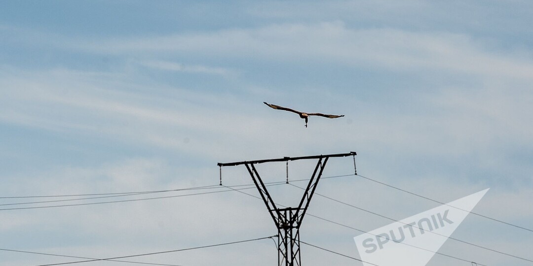 Диверсификация или диверсия? Будущее армянской энергетики под вопросом