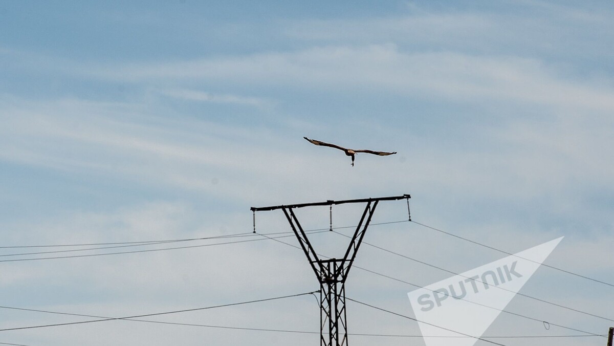 © Sputnik / Asatur Yesayants