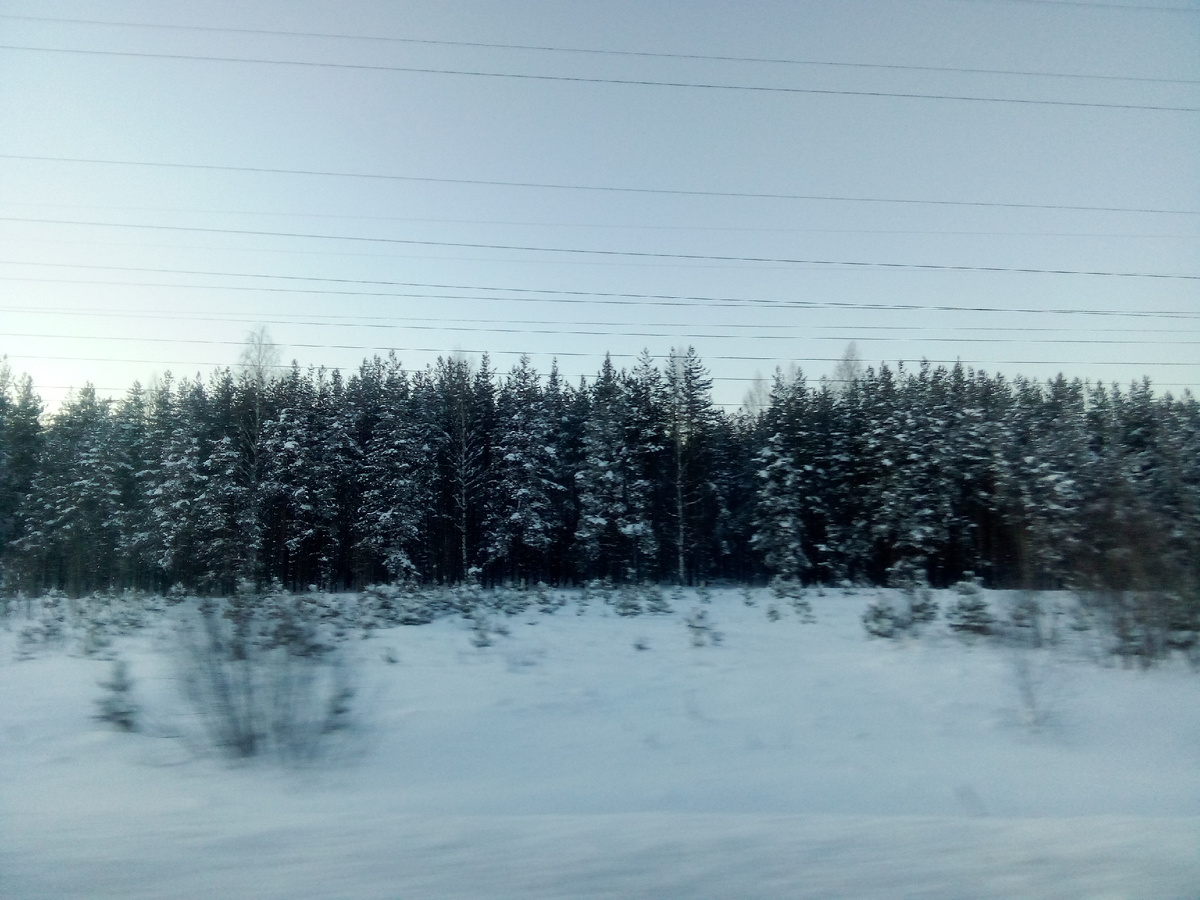В статье все фото авторские. Дорожный пейзаж недалеко от дома. Фотографировала уже на обратном пути.