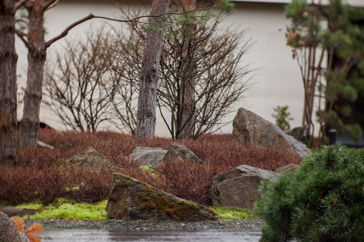 Сад "Сиреневый туман" - ландшафтный дизайнер Елена Асташкина, фотограф Виталий Туманов