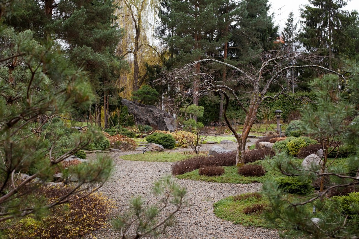 Сад "Сиреневый туман" - ландшафтный дизайнер Елена Асташкина, фотограф Виталий Туманов