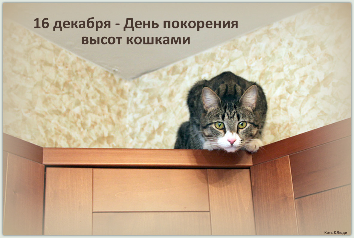 Коллаж автора. Использовано фото: https://alterlit.ru/post/74869/