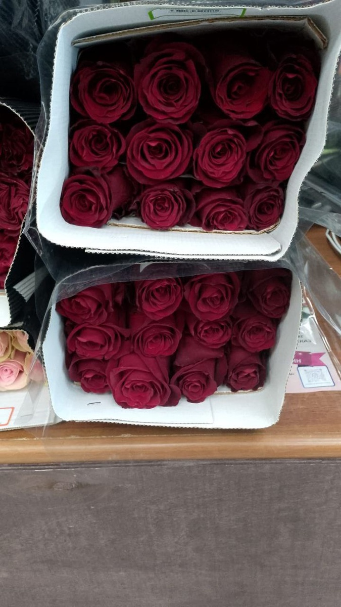 Розы оптом в Красноярске