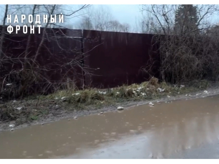     Фото: «народный фронт» орловской области