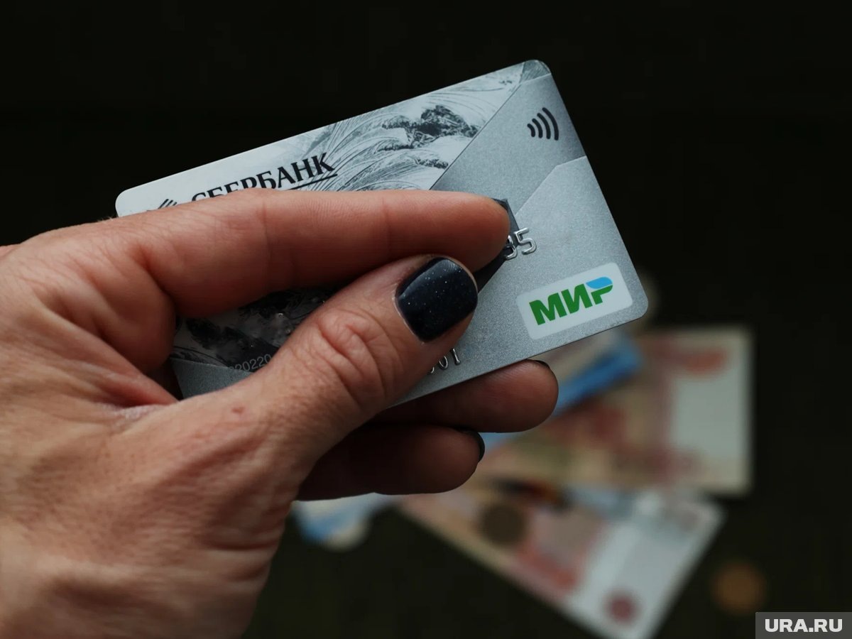    Доступ к данным системы «Мир» направлен на усиление борьбы с отмыванием преступных доходов