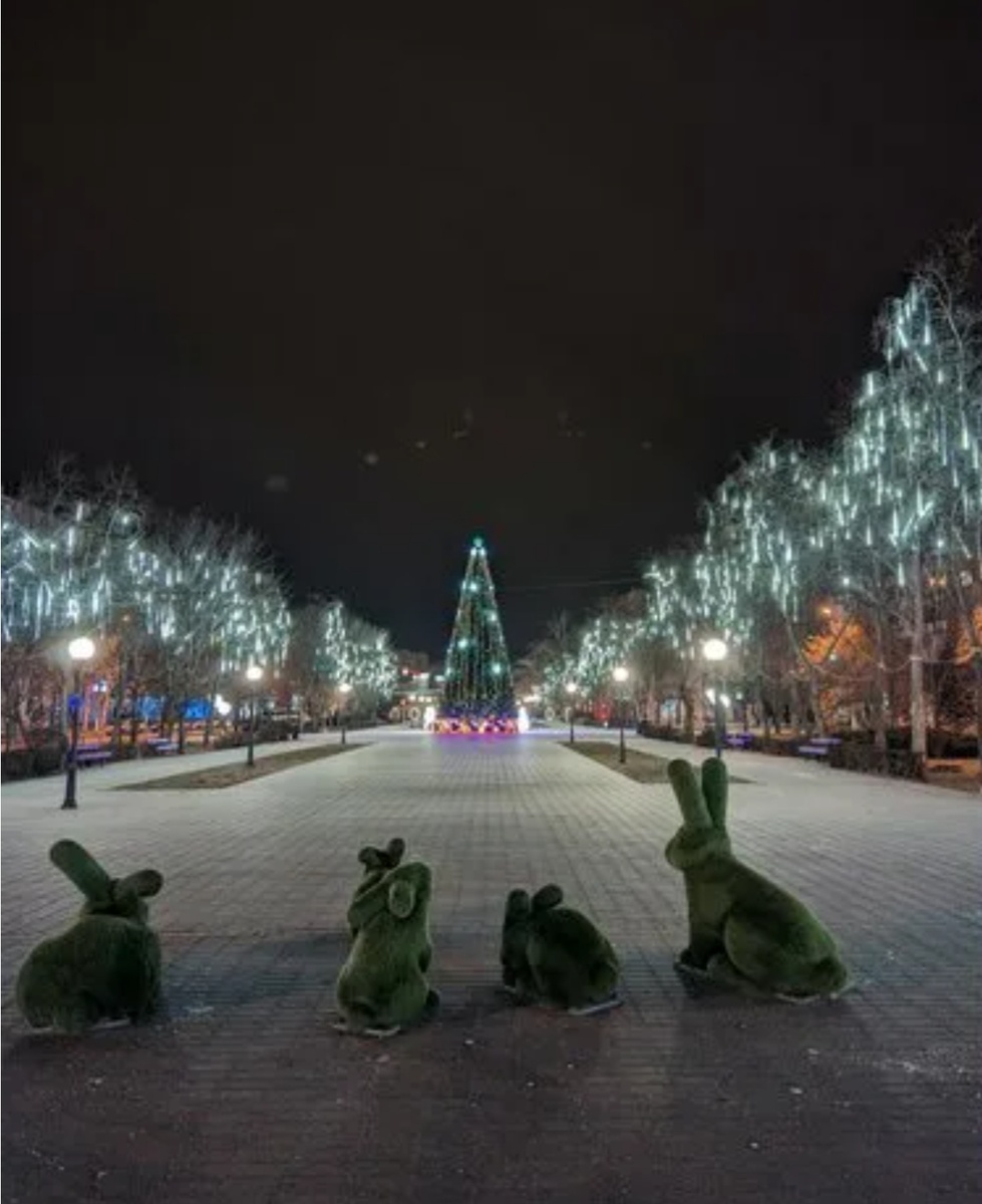 Зайцы уже приготовились