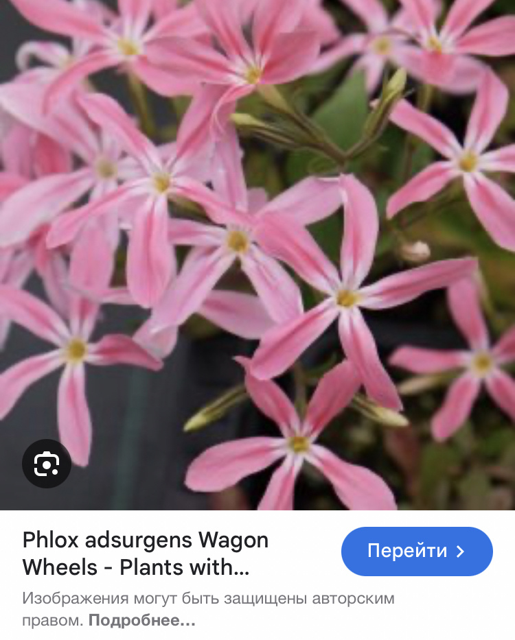 Фото интернет