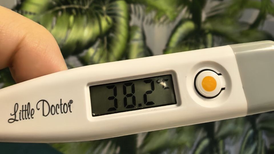 Дневник четвертой беременности. 17 недель. Я восстала из пепла! А потом опять немножечко сгорела.