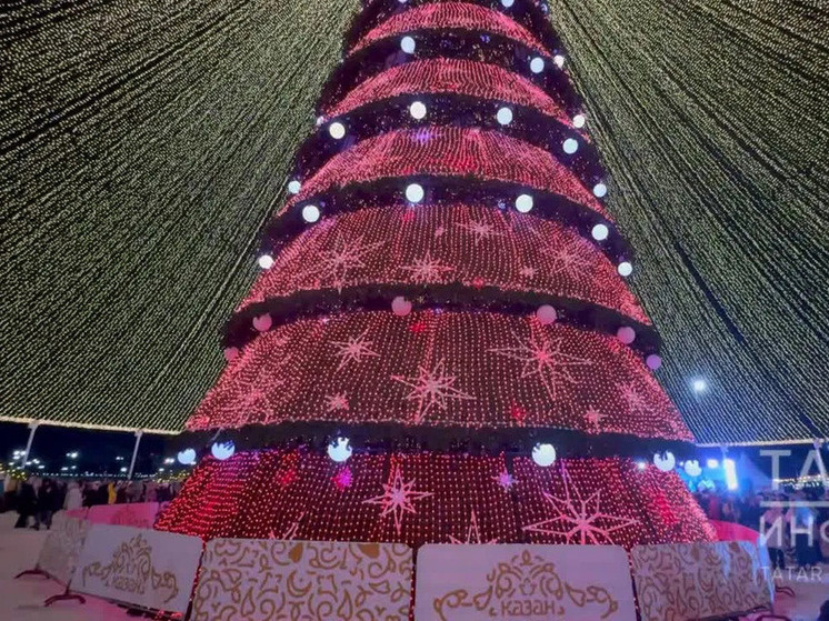     Фото: ИА "Татар-информ"