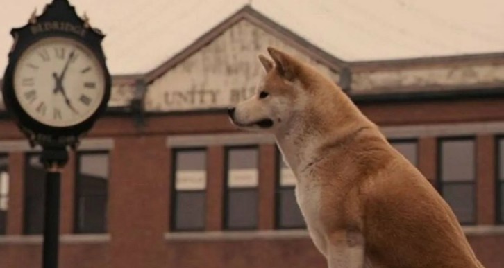 Кадр из фильма "Хатико"