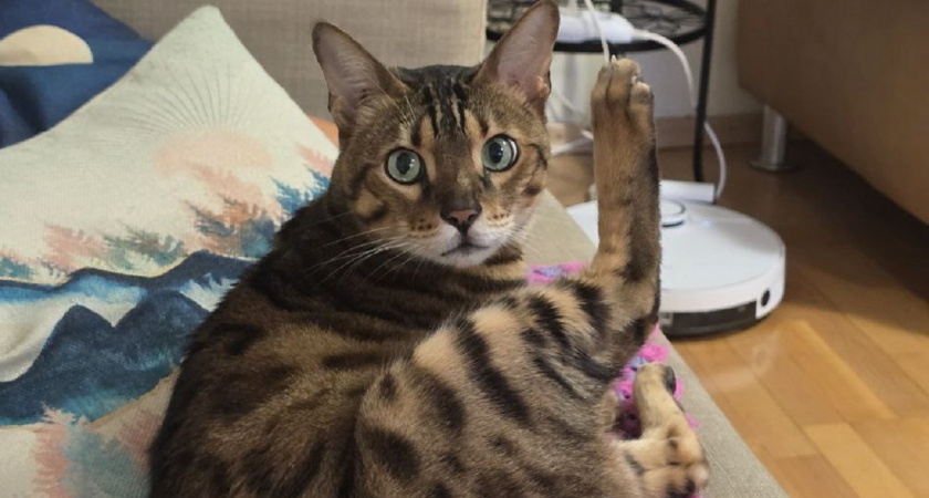    Фото Анастасии Дмитриевой