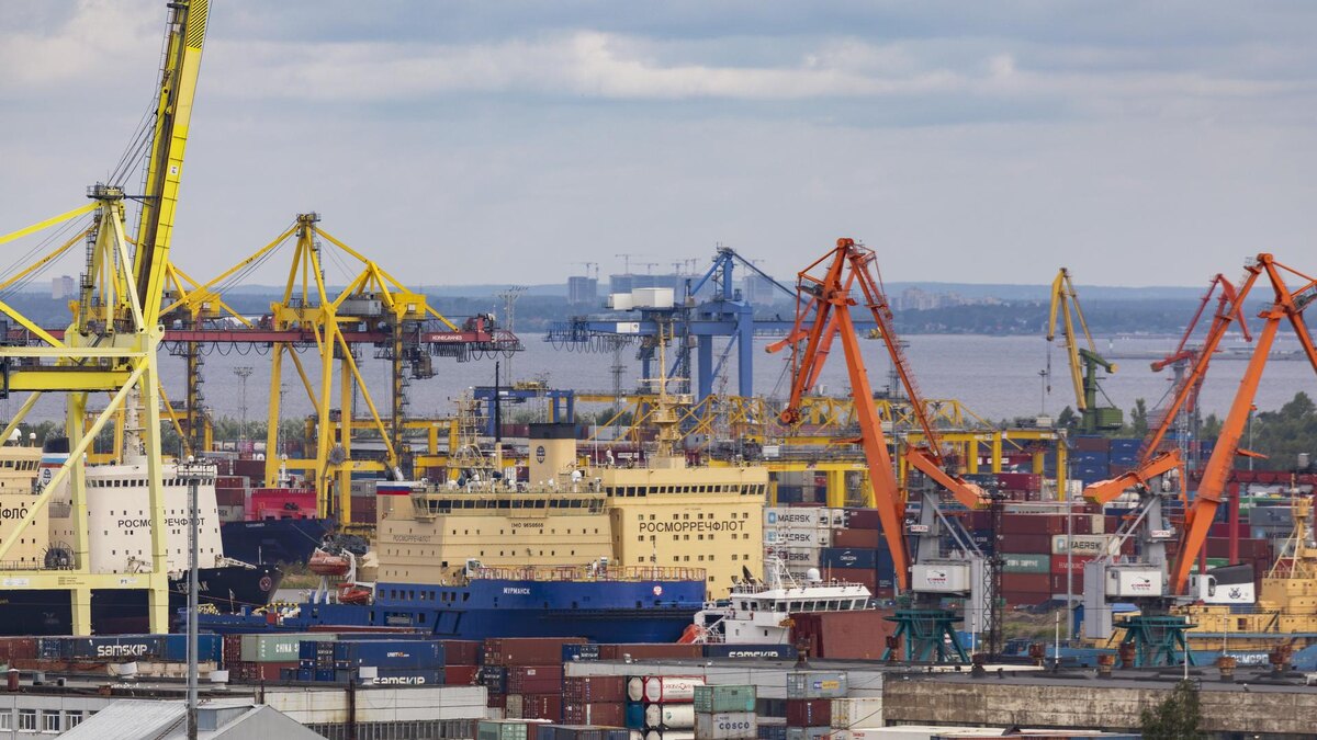    Фото: Aleksey Smyshlyaev/Global Look Press