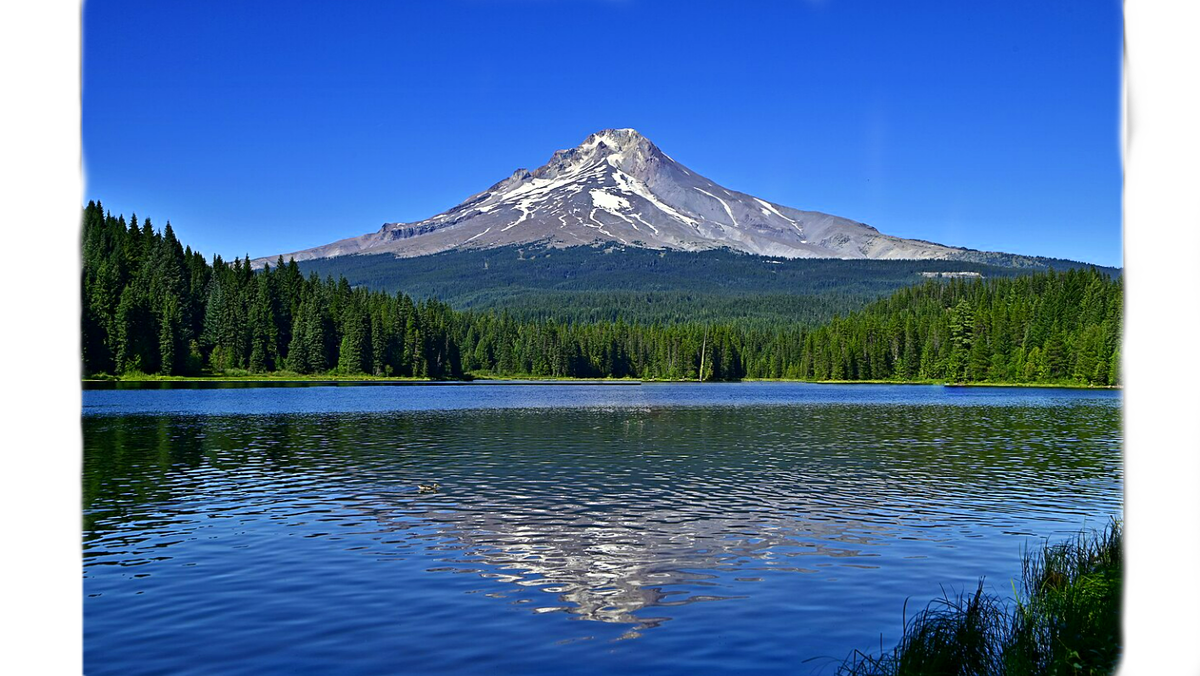 Гора Худ (Mount Hood), вид с озера Триллиум. 2024 год.