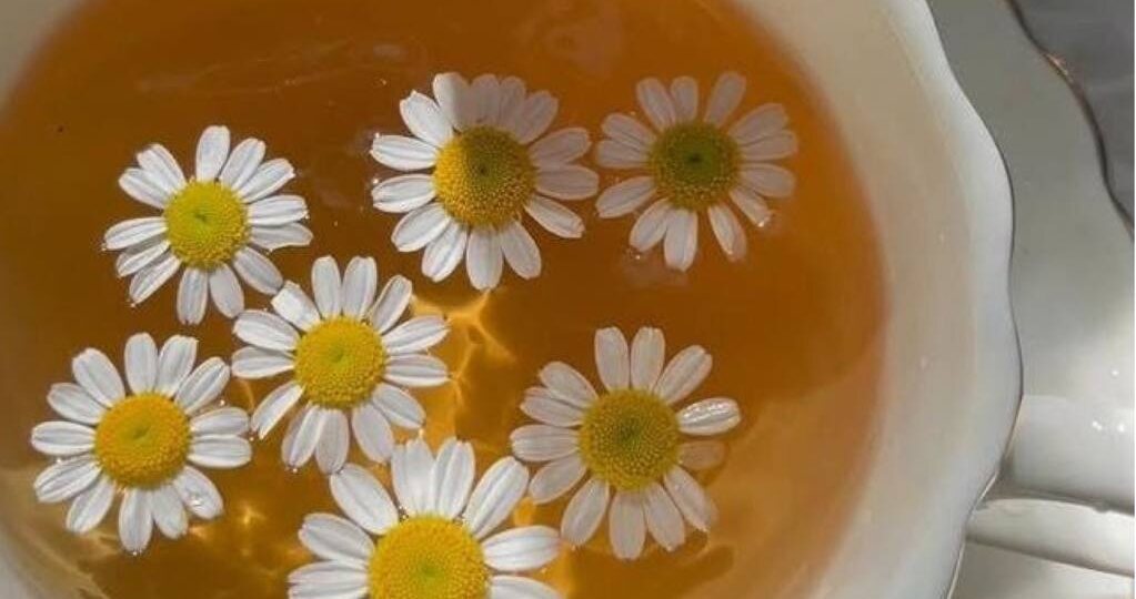 В мире не хватит ромашкового чая, чтобы успокоить ярость в моей груди, — говорил забавный персонаж одного комедийного сериала