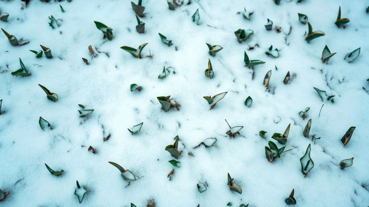 Светлана Мулыкина📷
