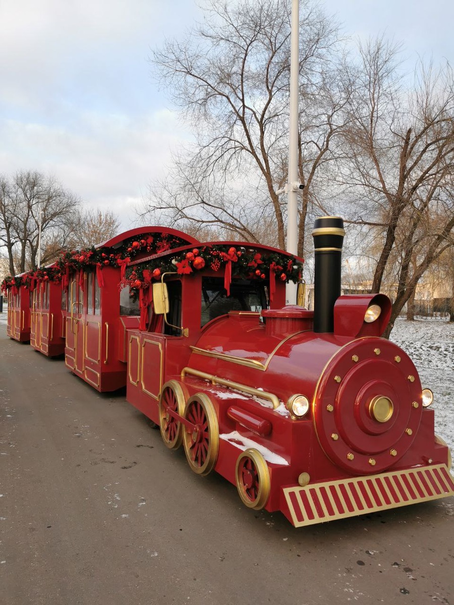 Новогодний поезд в Коломенском