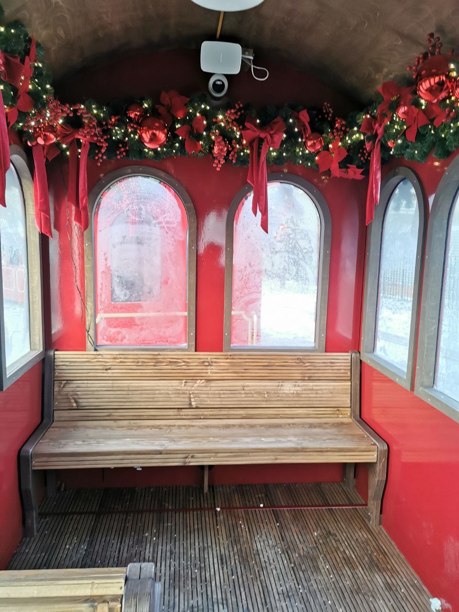 Новогодний экспресс в Коломенском