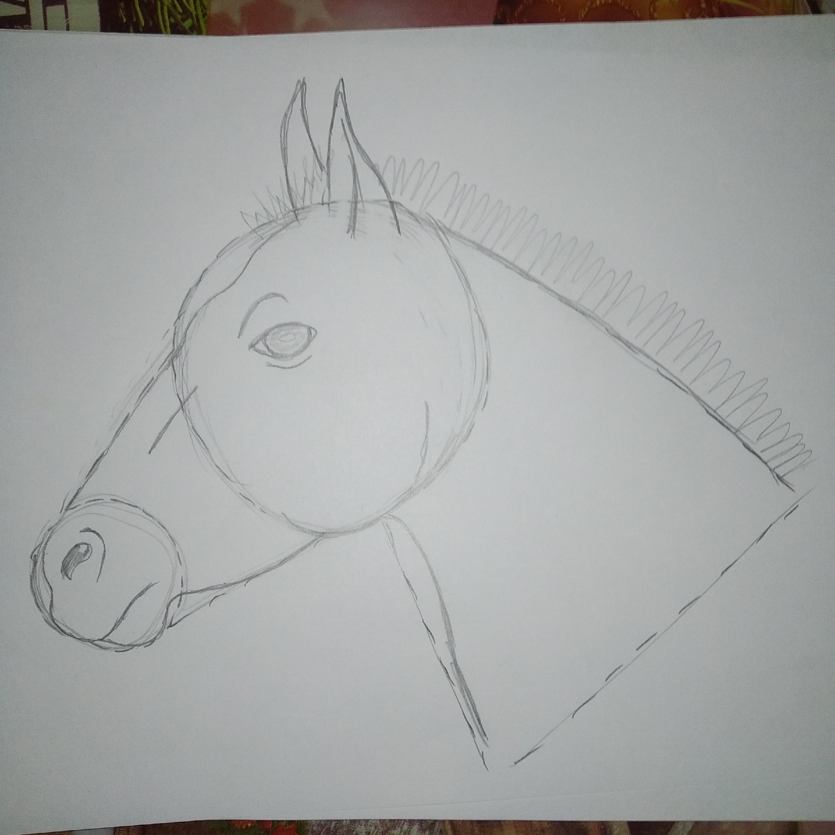 Схема головы лошади для салата. Фото из личного архива автора.