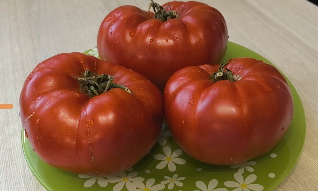 Гигант Фарина 