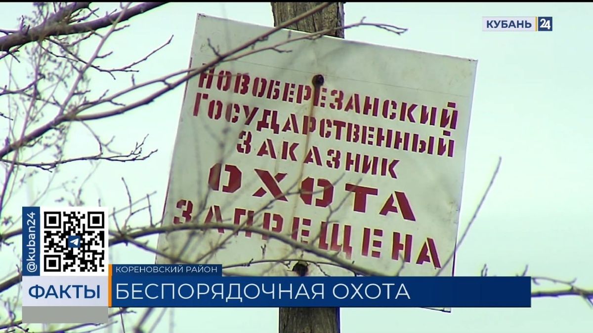    Скриншот видео телеканала «Кубань 24»
