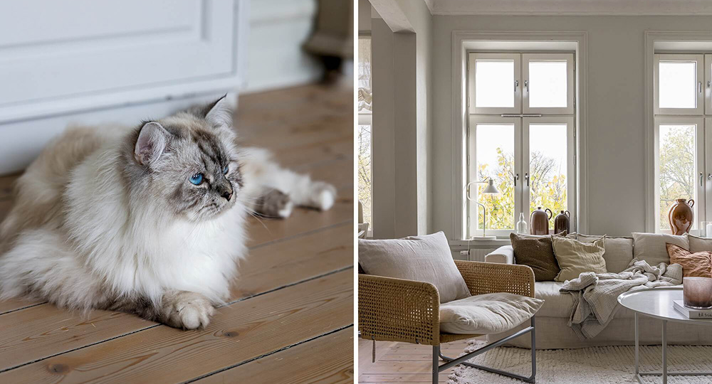 10 ошибок пенсионеров, которые живут одни