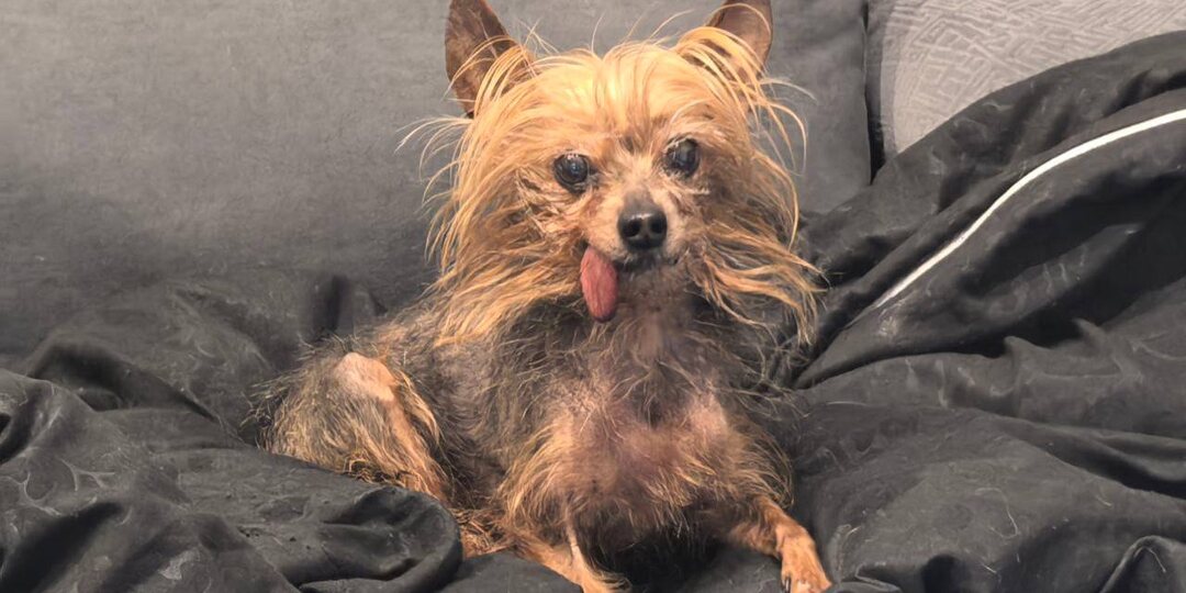 Наши срочные новости!