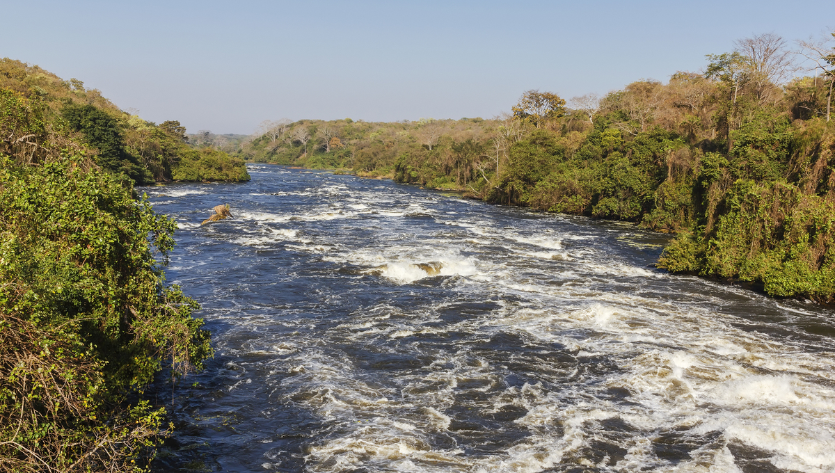 Белый Нил неподалеку от истока