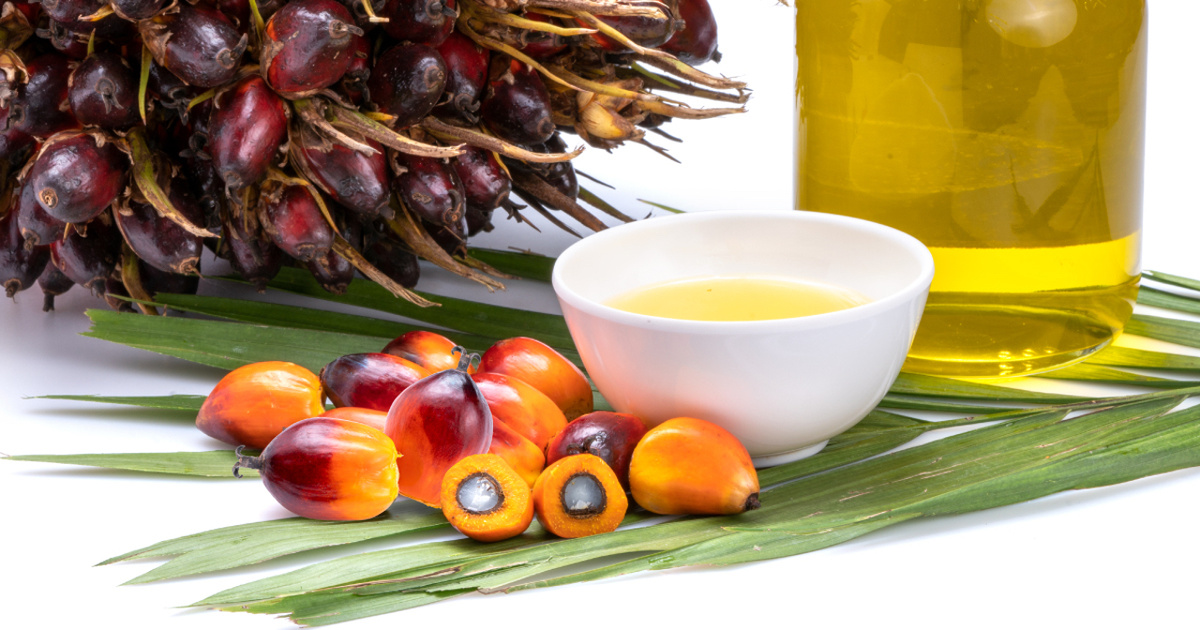 Что говорят международные исследования о пальмовом масле?