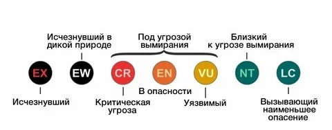 Критерии оценки, принятые МСОП.