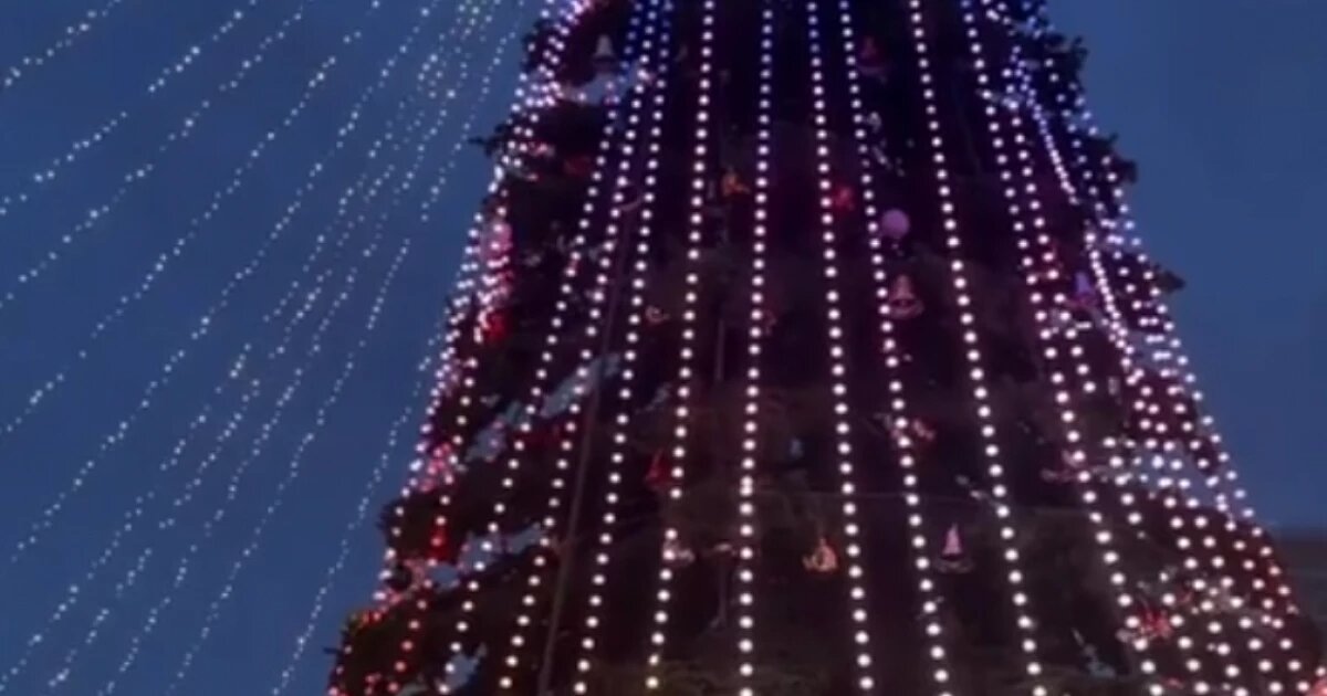 Фото: пресс-служба администрации Краснодара