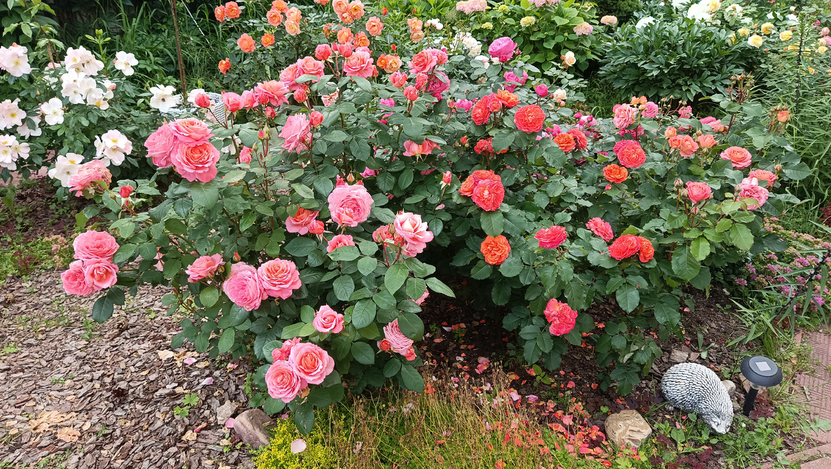 Французские красавицы Институт Люмьер и Эмильен Гийо, 2025