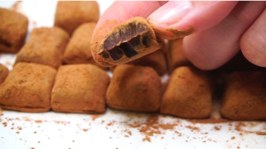 Смешиваю сгущенку с какао, ставлю в холодильник и получаю конфеты к чаю... Быстро, дёшево и лучше магазинных.