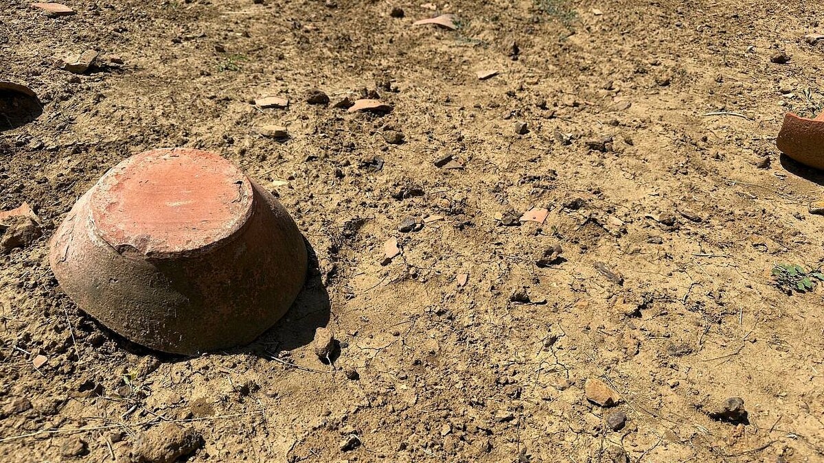    Фото: телеканал «Краснодар»