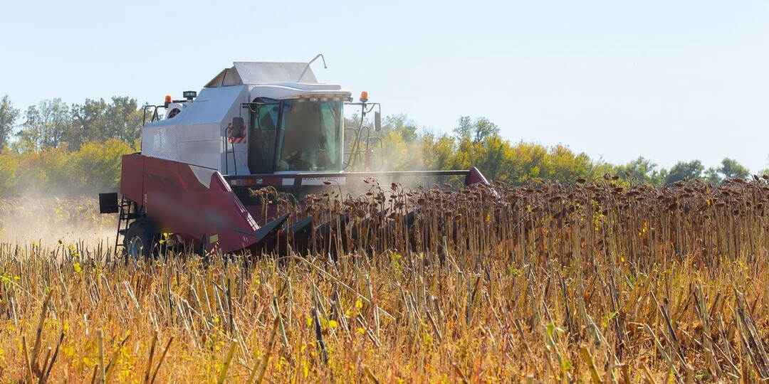 Воронежская область подводит итоги рекордной уборки зерна