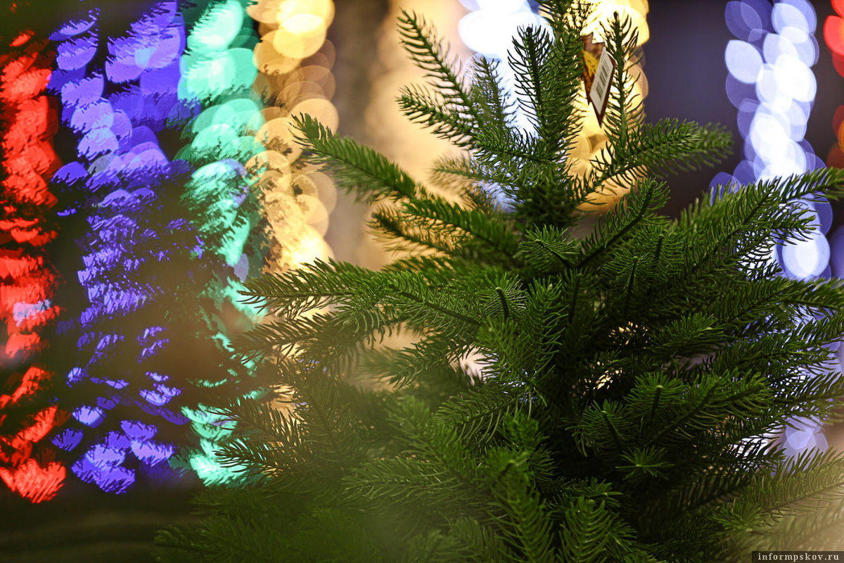 Фото: Валерия Ковалёва / ПАИ