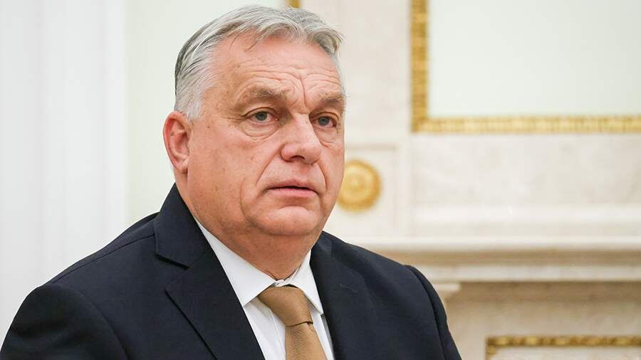    Фото: ТАСС/Владимир Гердо