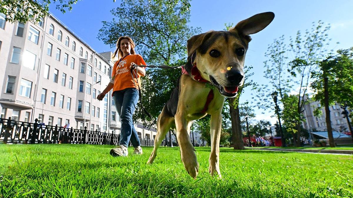    Фото: Сергей Киселев / АГН Москва