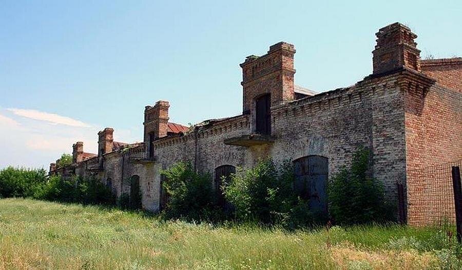 «Империя» Хорлы: забытое наследие Софии Фальц-Фейн