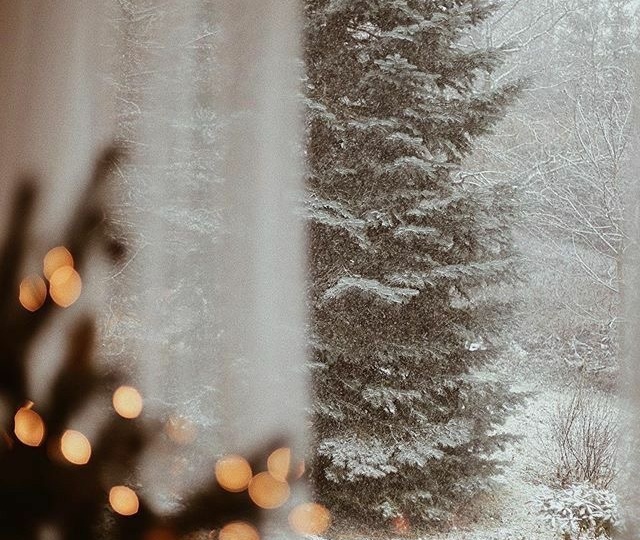 Чего боятся женщины перед поездкой в зимнюю Карелию-и как это решается на практике